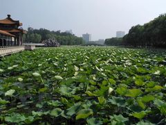 -南戴河国际娱乐中心