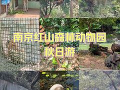 -红山森林动物园
