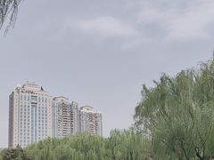 -团结湖公园