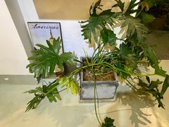 -唐咖精品咖啡(大理古城手冲店)