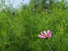 -长春公园(普阳街道)