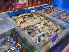 -开海·红岛海鲜虾水饺(石老人店)
