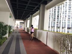 -达士岭