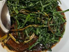 -新吉士·上海菜(浦东LCM置汇旭辉店)