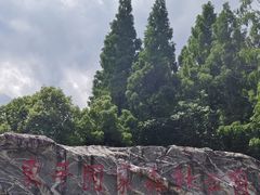 -东平国家森林公园