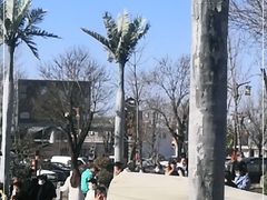 -茯茶镇