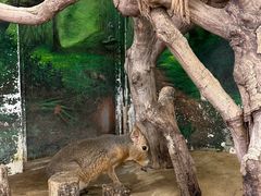 -正佳雨林生态植物园