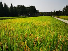 -北坞公园