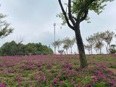 -都江堰玫瑰花溪谷
