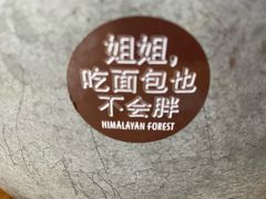 景观位-喜马拉雅森HIMALAYAN FOREST