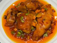 -燕春楼(海河华鼎店)