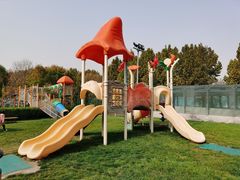 -廊坊固安福朋喜来登酒店