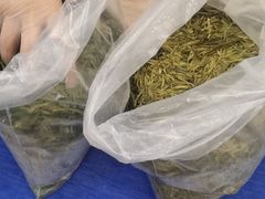 -先春西湖龍井•九曲红梅(杭大路店)