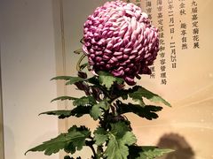 -汇龙潭