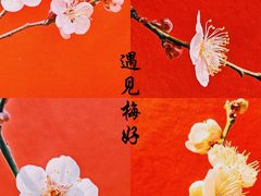 -梅花山(明孝陵内)