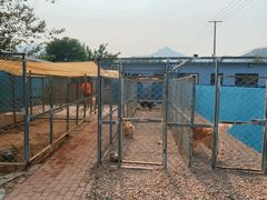 -趣玩宠物乐园寄养训犬训狗游泳池