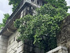 -梅溪牌坊