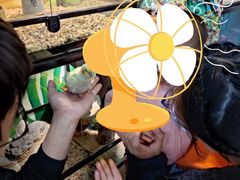 -藦茜花园宠物主题亲子互动体验馆(国顺东路店)