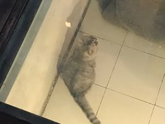 -娜娜家•Nana’Garden (福州道店)