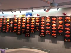 -龙海鲜螃蟹王(宏茂桥店)