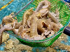 -好兄弟郭巨海鲜(天一阁店)