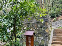 -常德桃花源景区