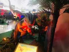 -花桥国际博览中心