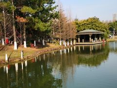 -白塘生态植物园