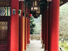 -都江堰普照寺