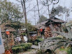 -青城甲(青城山店)