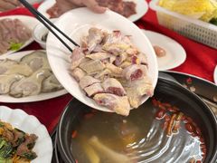 -花苑美食横琴生蚝火锅(拱北粤华路店)