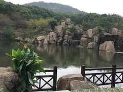 -白马涧龙池景区