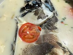 -全乐鱼馆·淳牌有机鱼直营店