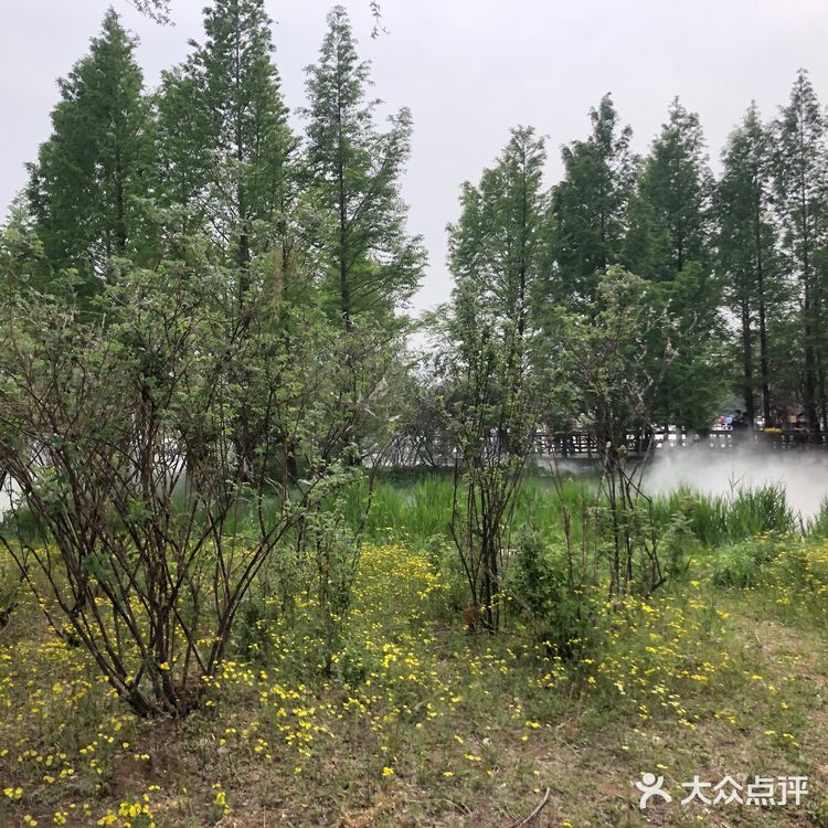 我们今天去那里野餐了，有成片的草地