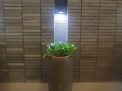 -溧阳天目湖天沐温泉