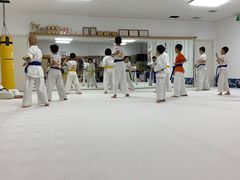 -极真空手道疾风道场(虹口凉城店)