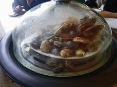-港畔赶海蒸汽海鲜烧烤自助(仙螺岛店)