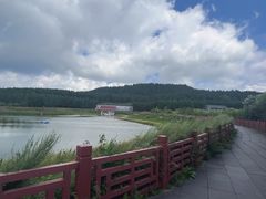 -塞罕坝国家级自然保护区