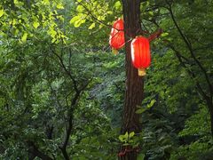 -天津盘山风景名胜区