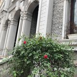 个性创意火柴老式结婚婚宴