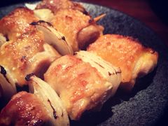 京葱鸡腿肉-串鑫