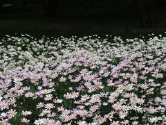 -迎泽公园