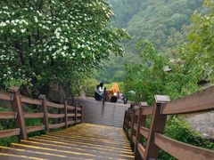 -沂蒙山旅游区云蒙景区(蒙山国家森林公园)