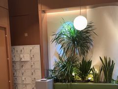 -奈雪的茶(石家庄万象城店)