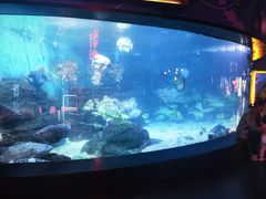 -烟台海昌鲸鲨海洋公园