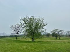 -盘龙城国家考古遗址公园