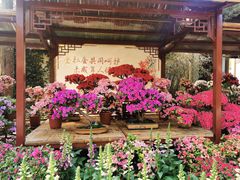 -惠山古镇·寄畅园