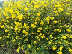 -金堂县云顶石城风景区