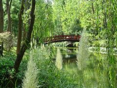 -合肥滨湖国家森林公园