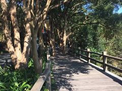 -普陀山风景名胜区-千步大沙